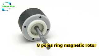 Rotor magnético de anel de 8 pólos