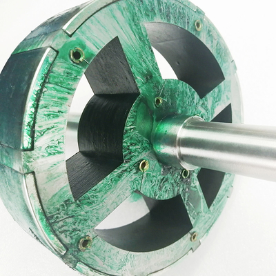 Rotor e estator magnéticos do neodímio N50